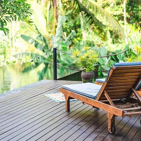 3 Bedrooms Tropical Modernism Rice Field And Jungle