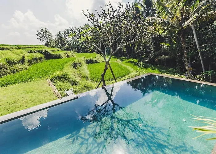 Private 3 Bedrooms Tropical Modern With Infinity Pool - فيلة أوبود